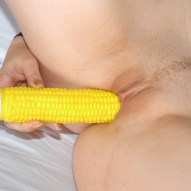 plan cul Salom de Cangey